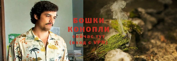 mdpv Богородск