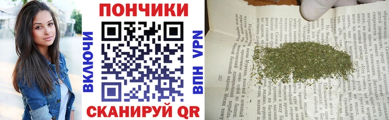 MEGA маркетплейс  Котовск  Каннабис план  наркота 